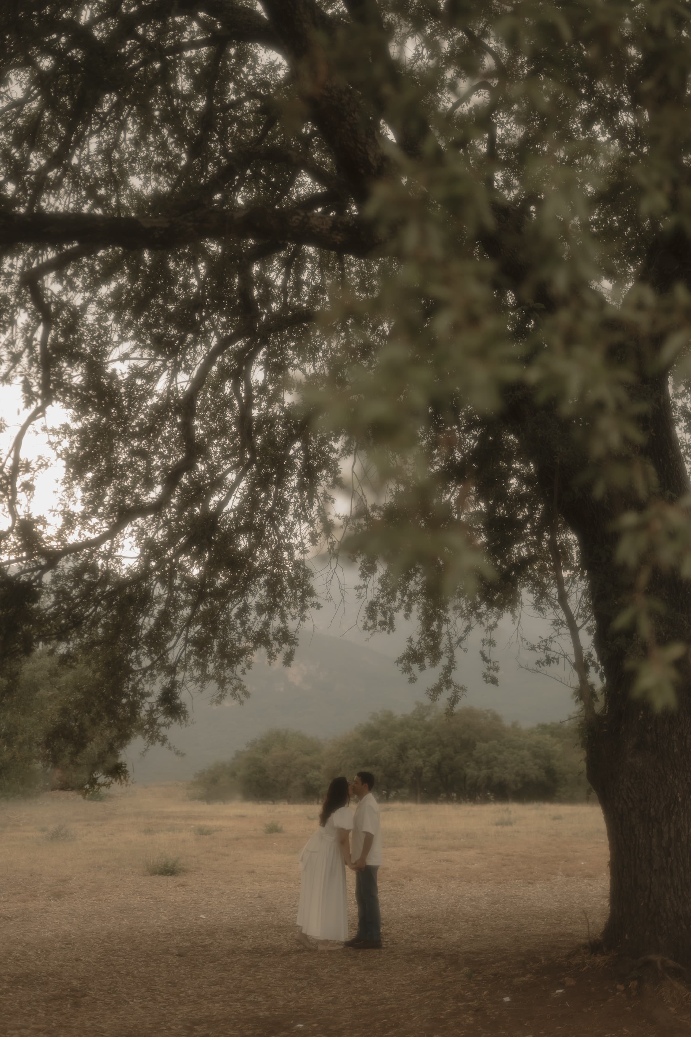 Andrea & Aldo - Recuerdo 2